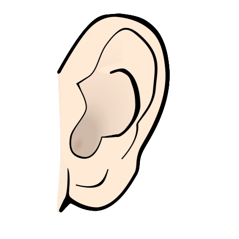 Ears