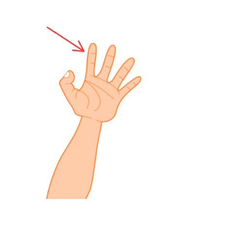 Finger
