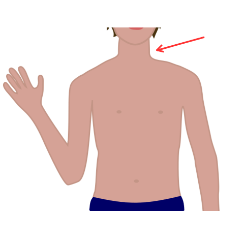 Neck