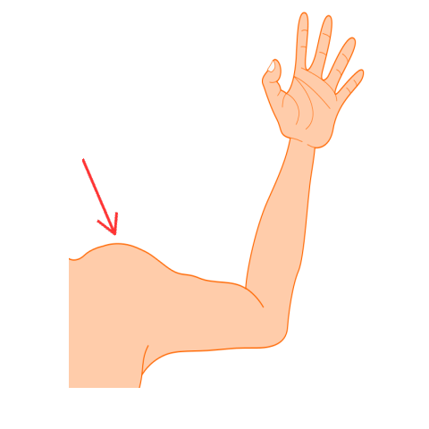 Shoulder